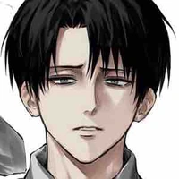 Levi