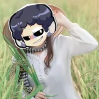 Hiha Babachops