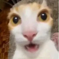 Cả làng