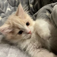 name?