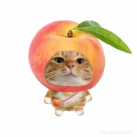 Đào (t/g)