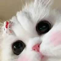 all học sinh trong lớp