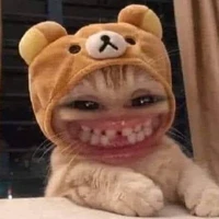 tổ bố của sự nhạt