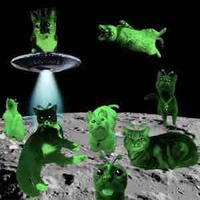 Gia đình alien