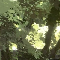 Báo Con Aka Tam Tai Của 16 Vương Quốc