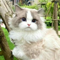 Hệ thống vô trách nhiệm
