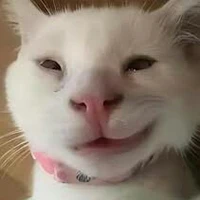 Tác giả quên lắp não hay nổ