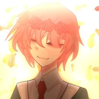 TT Hiha