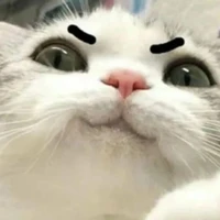 T/g