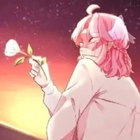 Hiha Alpha