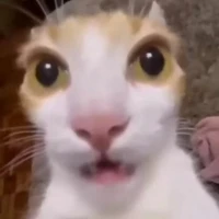 Giáo viên bộ môn