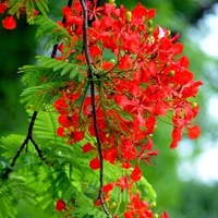 All(trừ một số người tùy trường hợp)