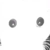 Allyum (hay đi đục các otp khác)