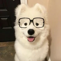 Ben
