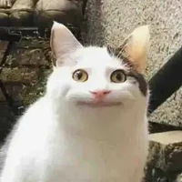 all(trừ ai thì trừ)