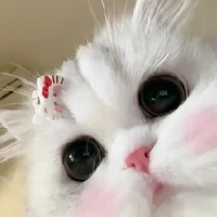 chủ trọ