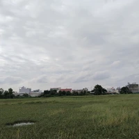 Bạn bè