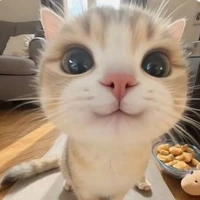 Tác giả nè