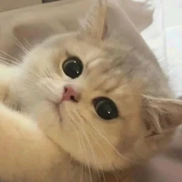 Tg