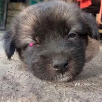 tất cả trừ ai thì trừ