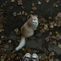 ？？？