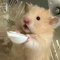 Hânn>:)