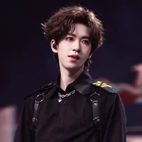 Hạ Tuấn Lâm