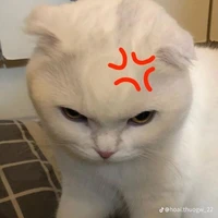 anh đào fan kaito