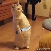 ngf xấu 
