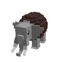 cocofanto elefanto