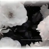 ？？？(NV Bí ẩn)