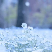 Tất cả mọi người (_tùy