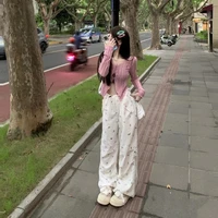 Lý Tiểu Hoa