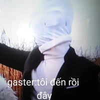 gaster