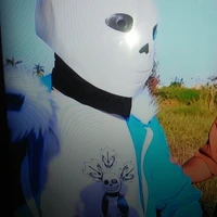 sans