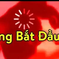 bọn nó