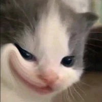 Tg ngầu nhất tg😈😏