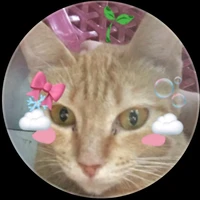 Mồn lèo🐱⚪💙🔷❄(cốt tôi đó)