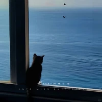 @𝐤𝐧𝐠𝐮𝐮_𝐚𝟔
