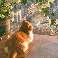 @𝐬𝐨𝐭_𝐚𝟔