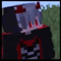 「 ✦ Songfish ✦ 」