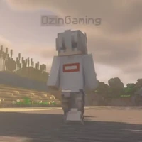 Ozin