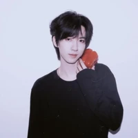 Hạ Tuấn Lâm