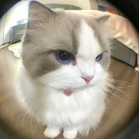 Hệ Thống Trùng Sinh