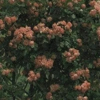 Nhân Vật Nữ