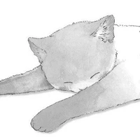 Mèo