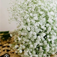 Người dẫn chuyện