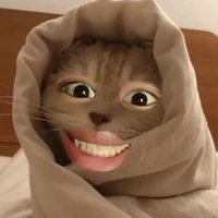 Tg: zét hắt