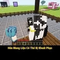 cô cô•cô đây bí ẩn nhất sever•
