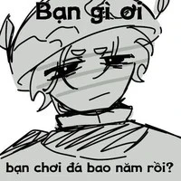 Việt hoà